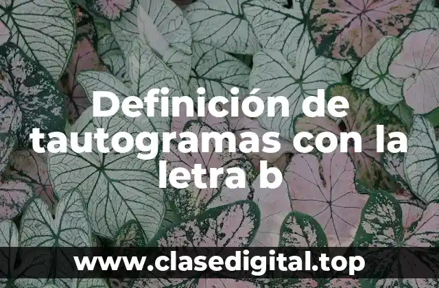 Definición de tautogramas con la letra b