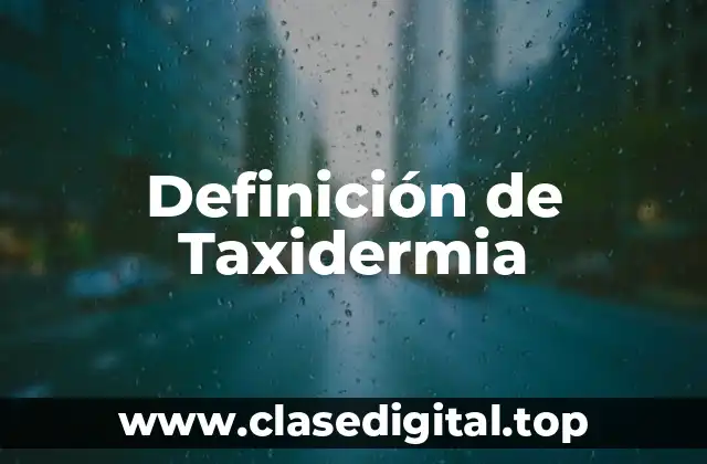 Definición Técnica de Taxidermia