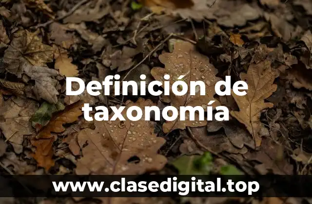Ejemplos de taxonomía