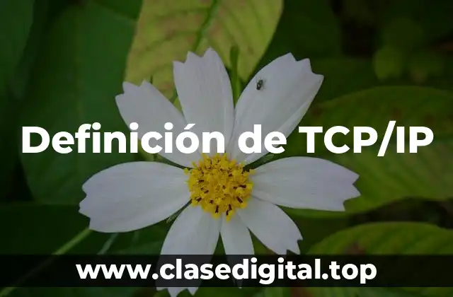 Definición de TCP/IP