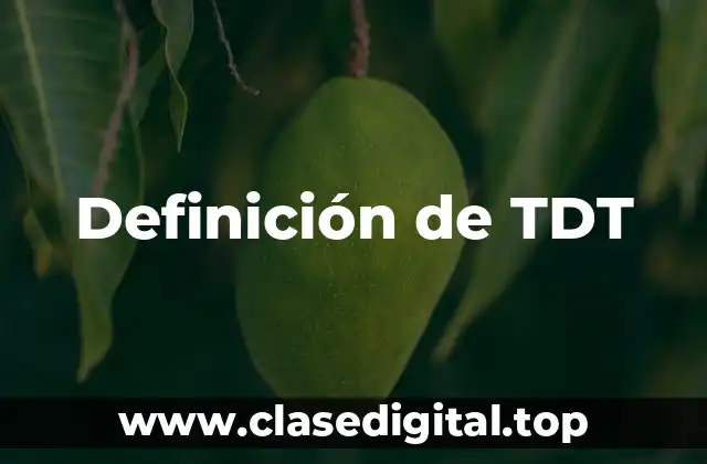 Definición de TDT
