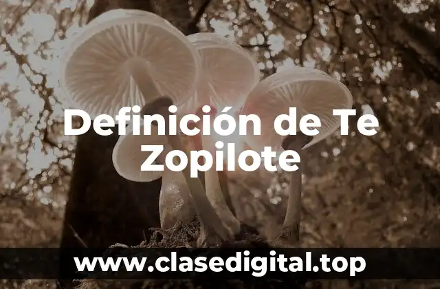 Definición de Te Zopilote