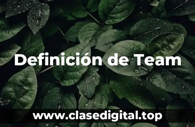 Definición de Team
