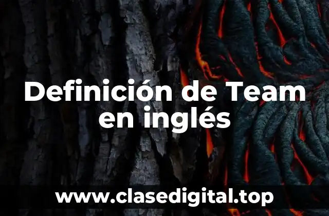 Definición de Team en inglés