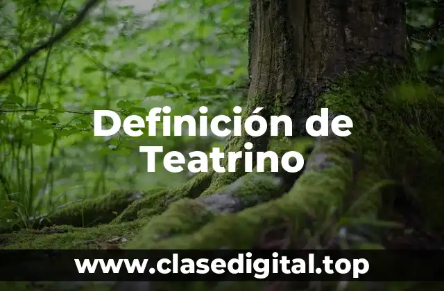 Definición de Teatrino