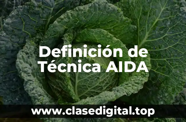 Ejemplos de la técnica AIDA