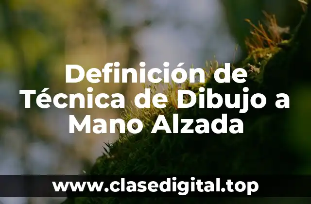 Definición de Técnica de Dibujo a Mano Alzada