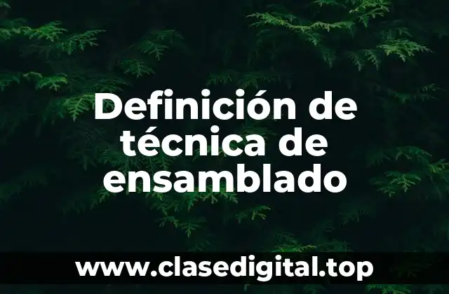 Definición de técnica de ensamblado