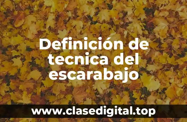 Definición de tecnica del escarabajo