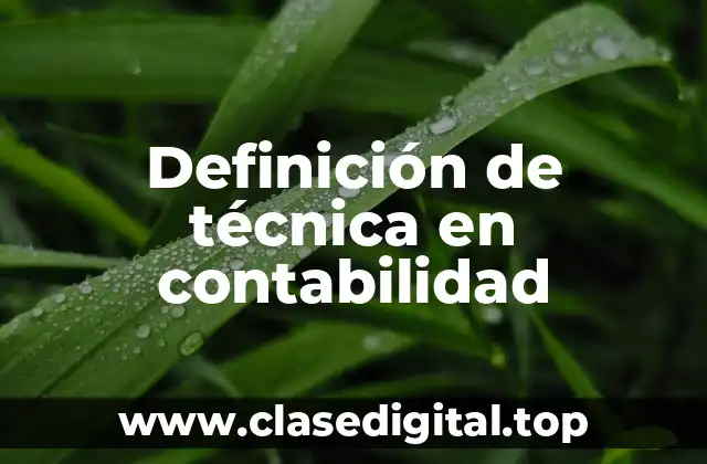 Definición de técnica en contabilidad