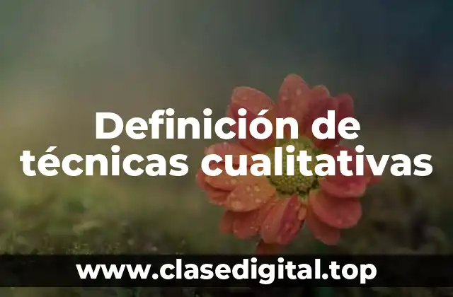 Definición técnica de técnicas cualitativas