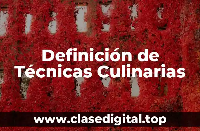 Definición Técnica de Técnicas Culinarias
