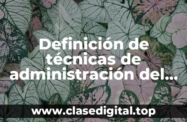 Definición de técnicas de administración del capital humano