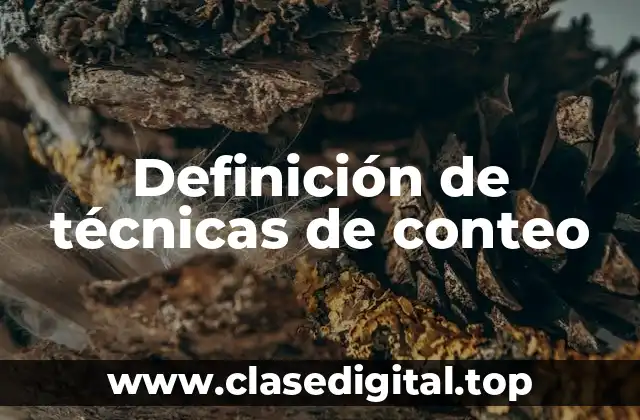 Definición de técnicas de conteo