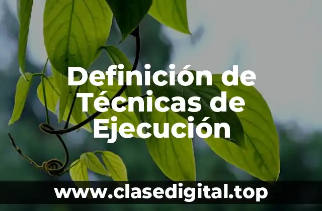 Definición de Técnicas de Ejecución