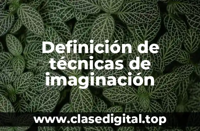 Definición de técnicas de imaginación