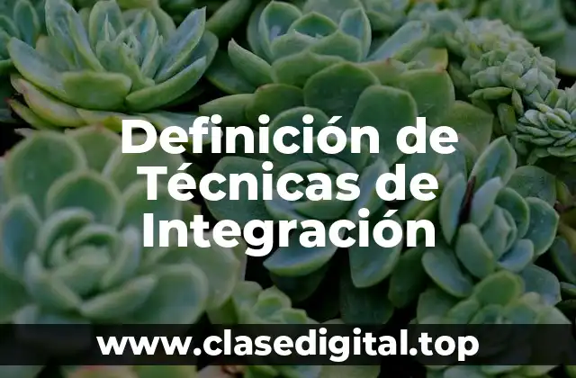 Definición de Técnicas de Integración