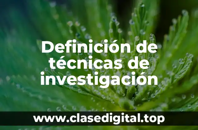 Definición de técnicas de investigación