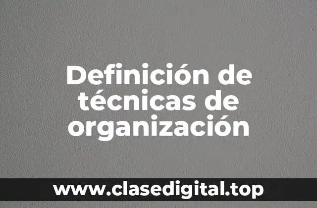 Ejemplos de técnicas de organización