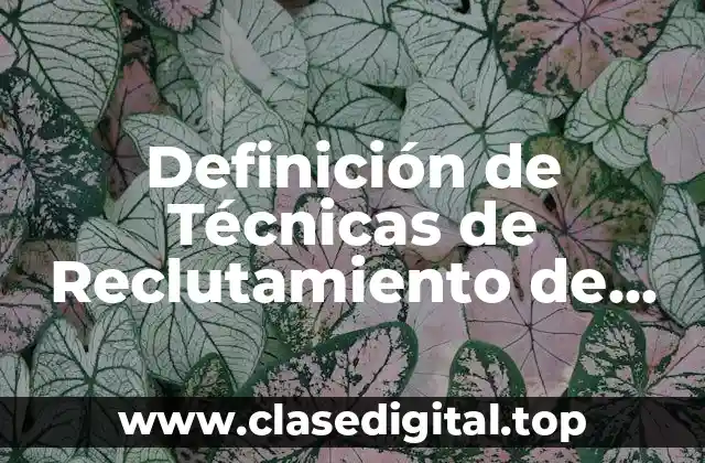 Definición de Técnicas de Reclutamiento de Personal