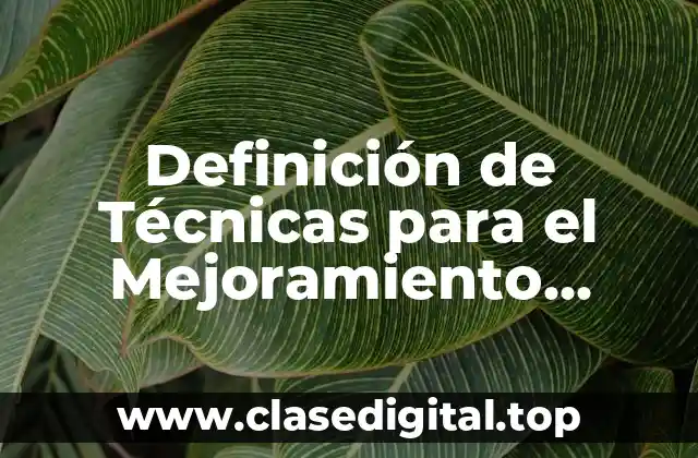 Definición de Técnicas para el Mejoramiento Continuo de Calidad