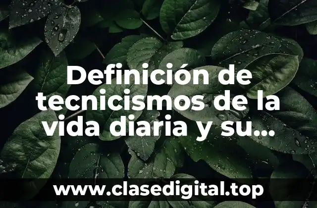 Definición de tecnicismos de la vida diaria y su clasificación