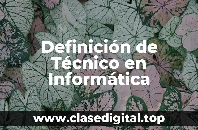 Definición técnica de Técnico en Informática