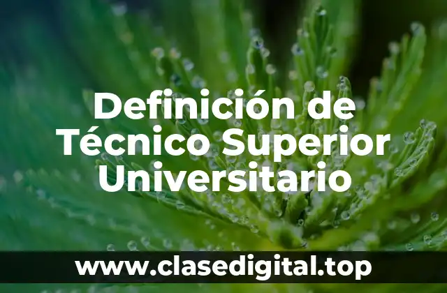 Definición de Técnico Superior Universitario