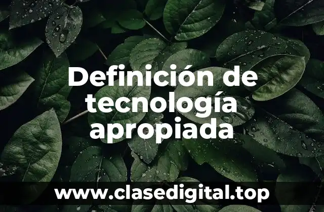 Definición de tecnología apropiada