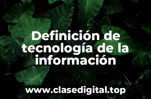 Ejemplos de tecnología de la información