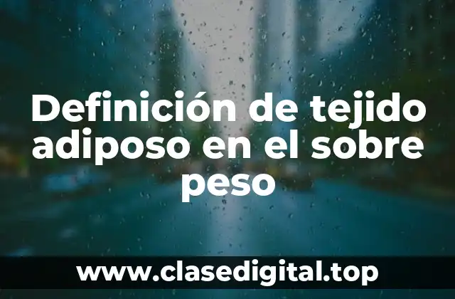 Definición de tejido adiposo en el sobre peso