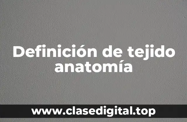 Definición de tejido anatomía
