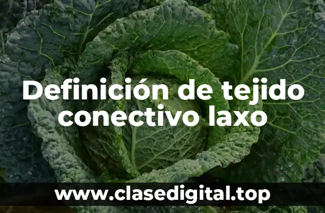 Definición de tejido conectivo laxo