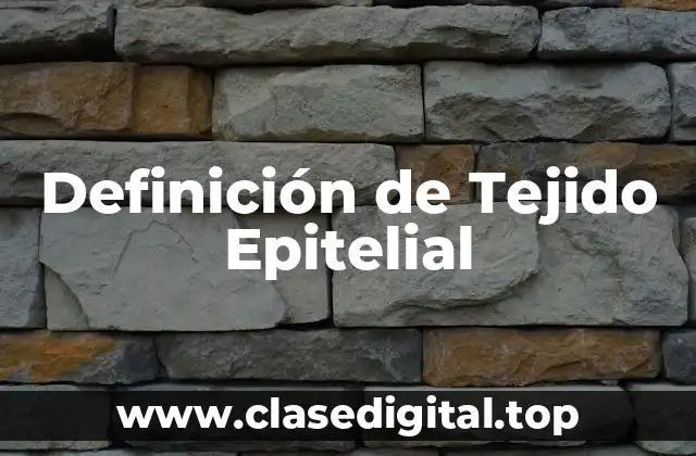 Definición de Tejido Epitelial