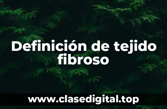 Definición de tejido fibroso