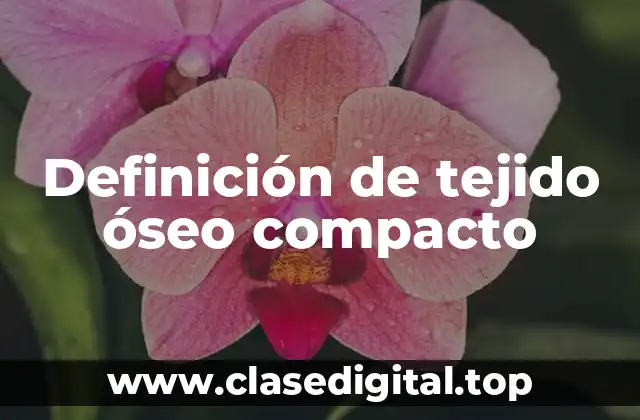 Definición de tejido óseo compacto