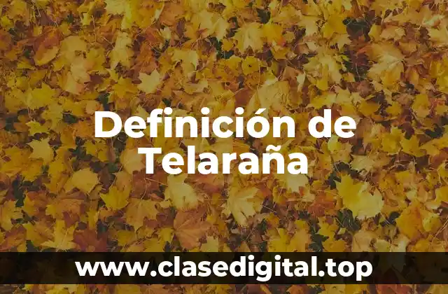 Definición de Telaraña