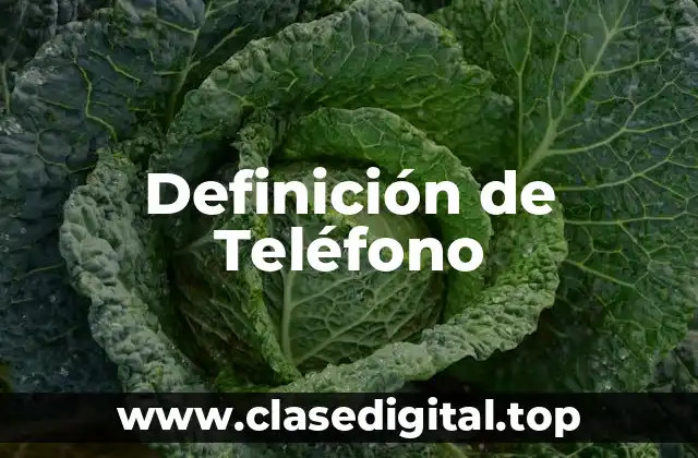 Definición de Teléfono