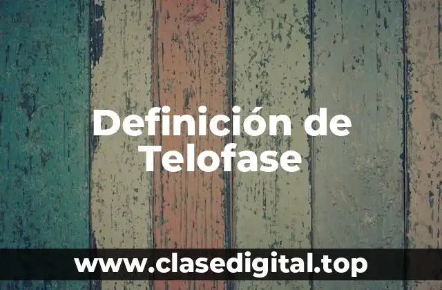 Definición de Telofase