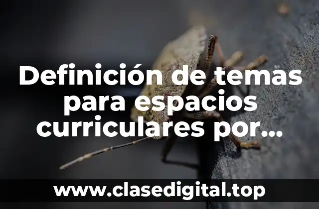 Definición de temas para espacios curriculares por ambito en secundaria