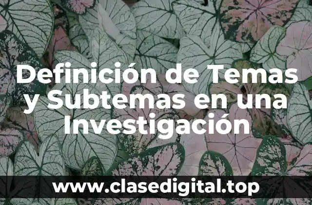 Definición de Temas y Subtemas en una Investigación