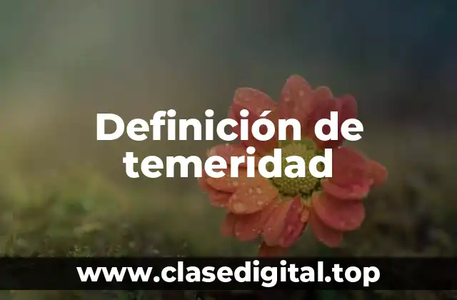 Definición de temeridad