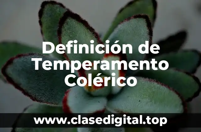Definición de Temperamento Colérico