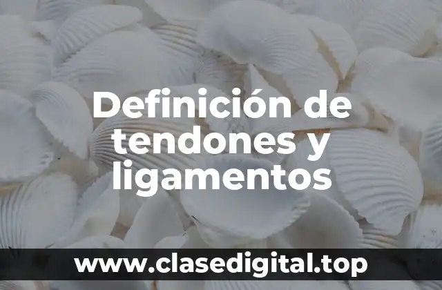 Definición de tendones y ligamentos