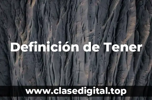 Definición técnica de Tener