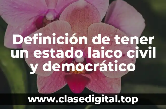 Definición de tener un estado laico civil y democrático