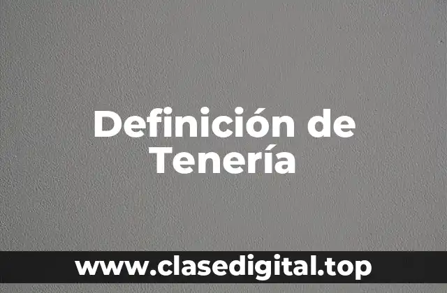 Definición de Tenería