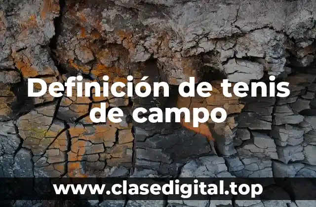 Definición de tenis de campo