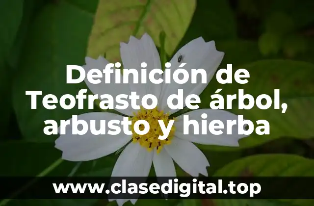 Definición de Teofrasto de árbol, arbusto y hierba
