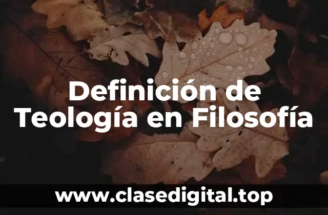 Definición técnica de Teología en Filosofía